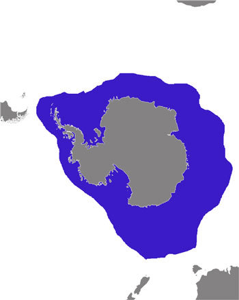 Leopard Seal Range Map (Antarctic) 