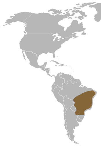 Maned Wolf Range Map (South America)