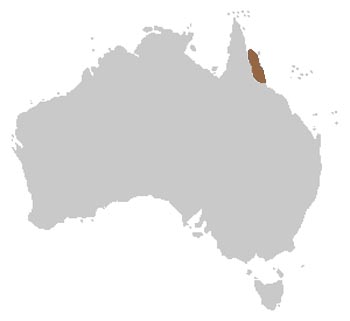 Orange Thighed Frog Range Map (Australia)