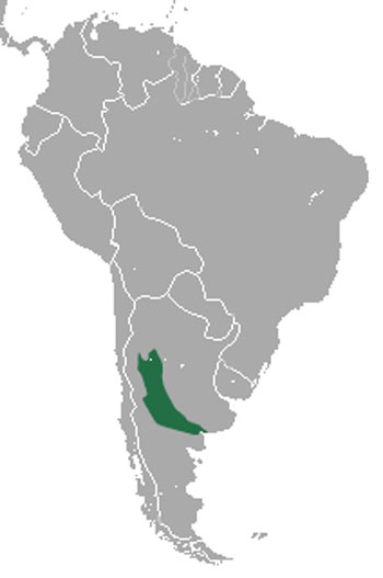 Pink Fairy Armadillo Range Map (South America)