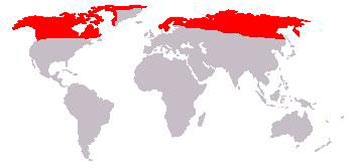 Reindeer Range Map (N America, Greenland, N Europe to E Asia)