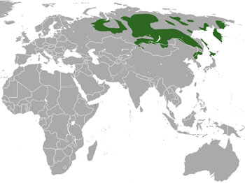 Sable Range Map (Asia)