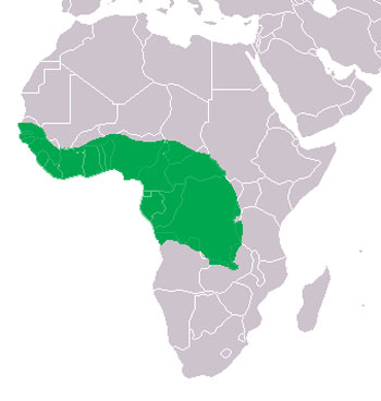 Slender-Snouted Crocodile Range Map (Africa)