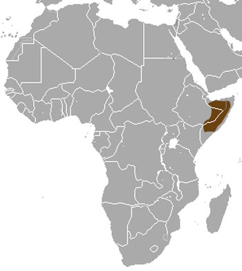 Somalian Slender Mongoose Range Map (Africa)