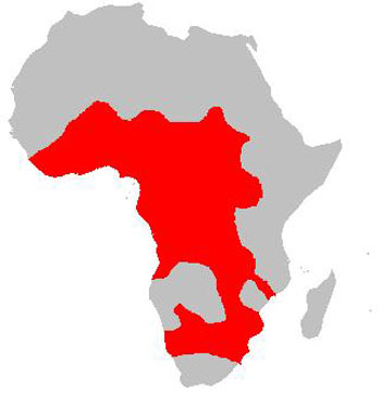 Spotted-Necked Otter Range Map (Africa)