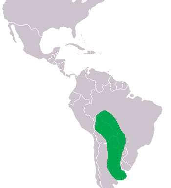 Yacare Caiman Range Map (South America)